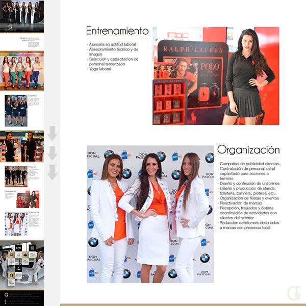 Síntesis del brief empresarial