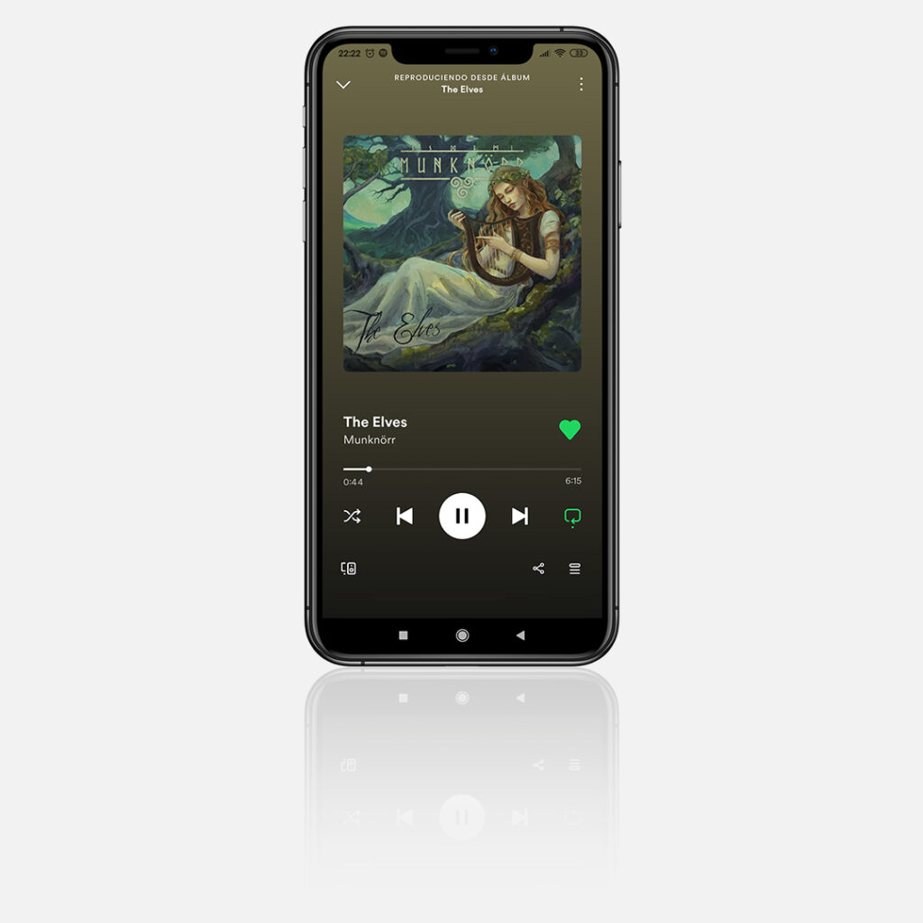 The album displayed on Spotify